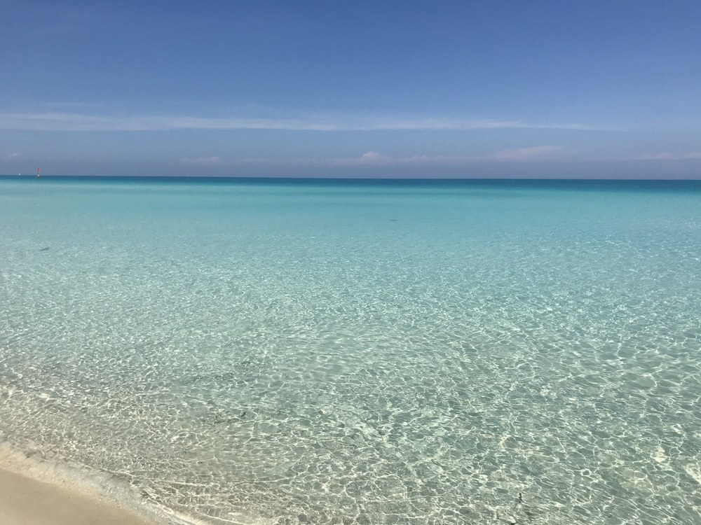 Turkusowa, przejrzysta woda przy pustej plaży